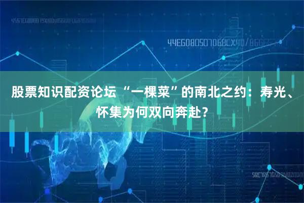股票知识配资论坛 “一棵菜”的南北之约:寿光、怀集为何双向奔赴?